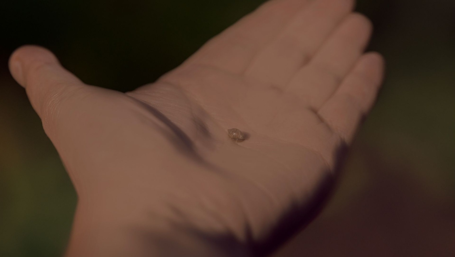 Still Rising... in the Space Between